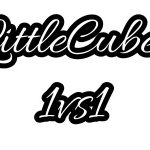 LittleCubes1vs1